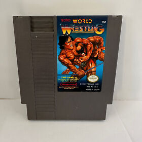 NES TECMO World Wrestling