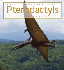 New When Dinosaurs Lived: Pterodactyl by Kate Riggs