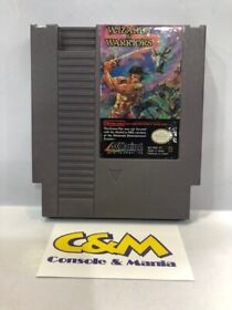 Wizards & Warriors Nintendo NES pal USATO