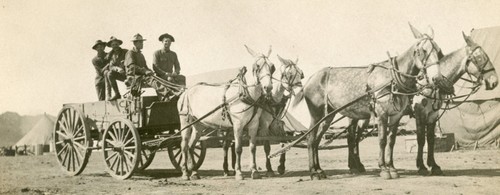 WW1-ERA-4-MULE-HORSE-TEAM-HEART-VALENTINE-RPPC-PHOTO