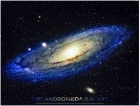paradoxa4