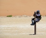 dxb_13
