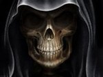 dino8181