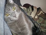 alexis13_123