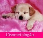 10something4u 的用户个人档案