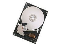 Computer-Festplatten (HDD, SSD & NAS) mit SATA II Schnittstelle