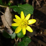 airetertiaire