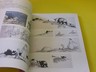 Children's Book Illustrators Ellin Greene Marcia Brown Robert McCloskey B Cooney