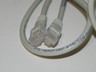 Nice Used Cat 5 Cable 5 Foot.. Internet cord, modem cord