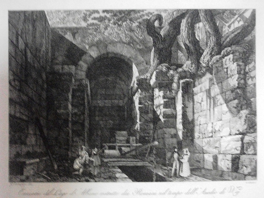 Picture 1 of 1