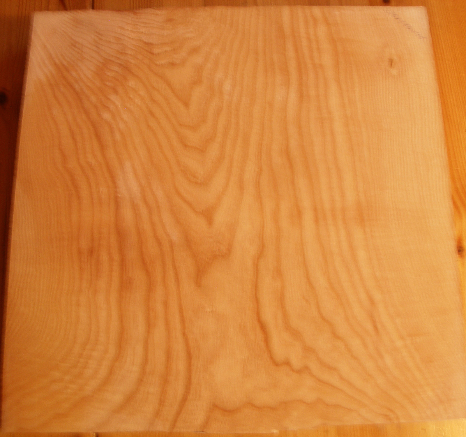 esche-body-nr-30-blank-1teilig-tonholz-tonewood-gitarre-e-bass-ebay