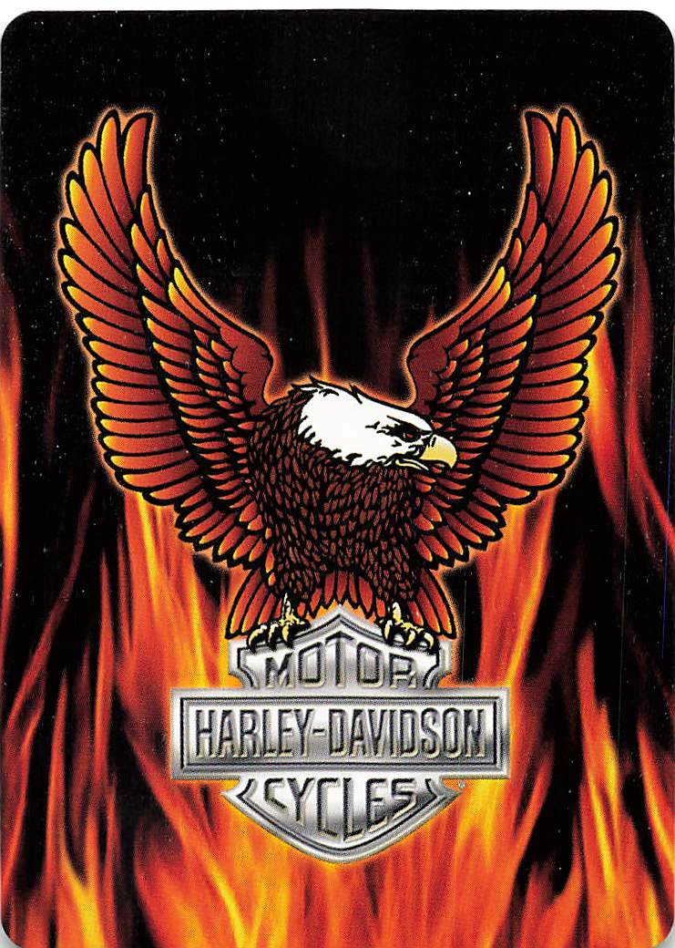 @*須様 Harley-Davidson Eagle Flame グラフィック Women's Eagle Flame Graphic Tee | Harley-Davidson NO