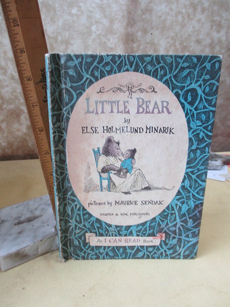 絵本・児童書 Bear's Curiosity Book 71fRfr8EYYL._UF350,350_QL50_.jpg
