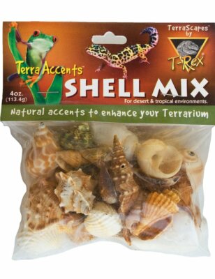 T-Rex Reptile Terrarium Décor - Terra Accents Shell Mix