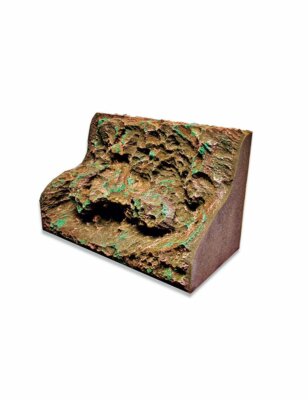 T-Rex Reptile Terrarrium Decor - Rainforest Rapids