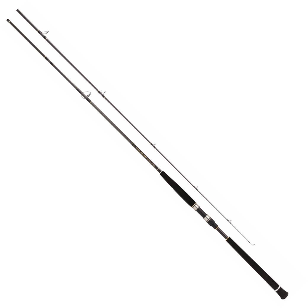 Pro Marine SHORE JIG ROUNDER SHORE JIGGING MODEL HI-POWER