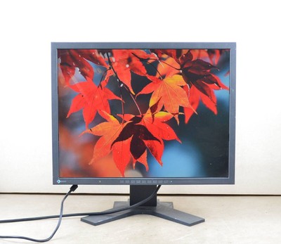 EIZO RadiForce MX210 21.3 inch rotating/vertical display #3