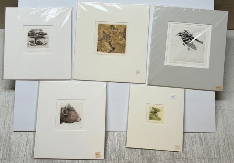 Early Estate Collection Judith Ann Eldridge 5 Etchings - Animals Birds Flowers