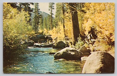 Mammoth Lakes California, Inyo-Mono Fishing Paradise Trout Stream, VTG Postcard