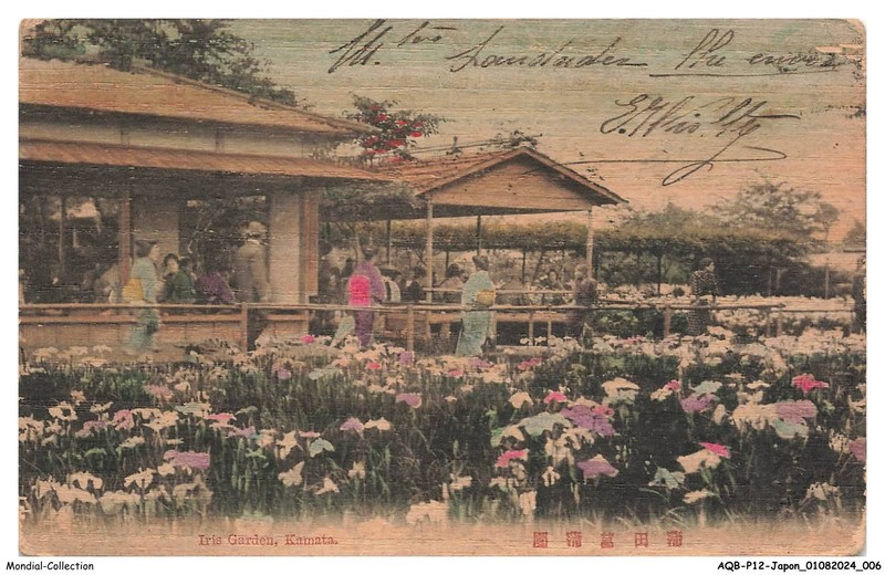 Aqbp12-0901-Japon - Iris Garden - Kamata