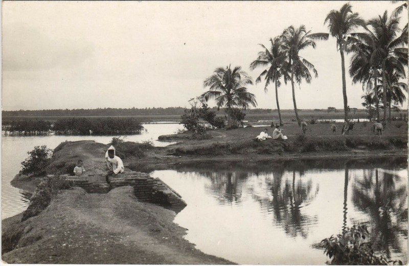 Pc Indonesia, In De Bunst Van Tegal, Vintage Real Photo Postcard (B35031)