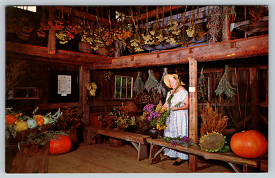 c1960s Herb Barn Sturbridge Village Vintage Postcard