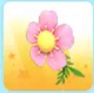 Adopt A Pet Wear From Me - Pet Wear - Wings - Toys - New 2023 Accessories!