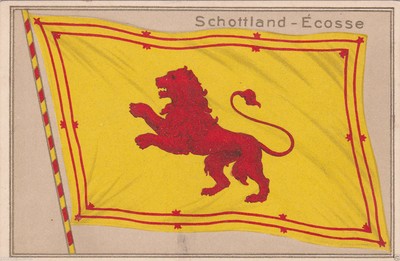 * FLAG - Schottland Ecosse (Scotland) - In Relief (H&Z G&Co) N.11662