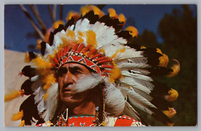 Native American Chief Big Cloud Postcard