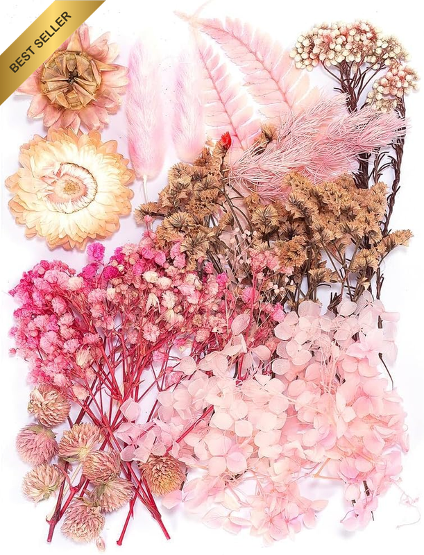 Mini Colorful Natural Pressed Flowers for Art Crafts DIY ,Bulk Decorative Real D