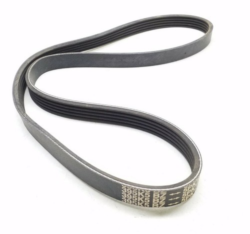 395K5 BZ Serpentine Belt Made In Korea Free Shipping Free