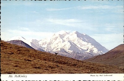 Vintage Chrome Postcard Mt. McKinley Denali Caribou Alaska c.1960s