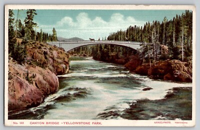 Yellowstone HAYNES 100 Series Postcard Canyon Bridge 141 Vtg Type C Back 1910-13