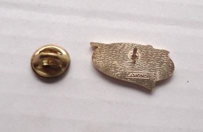 60th ANNIVERSARY OG THE ROYAL CANADIAN AIR CADETS PIN IN GOOD CONDITION, OC