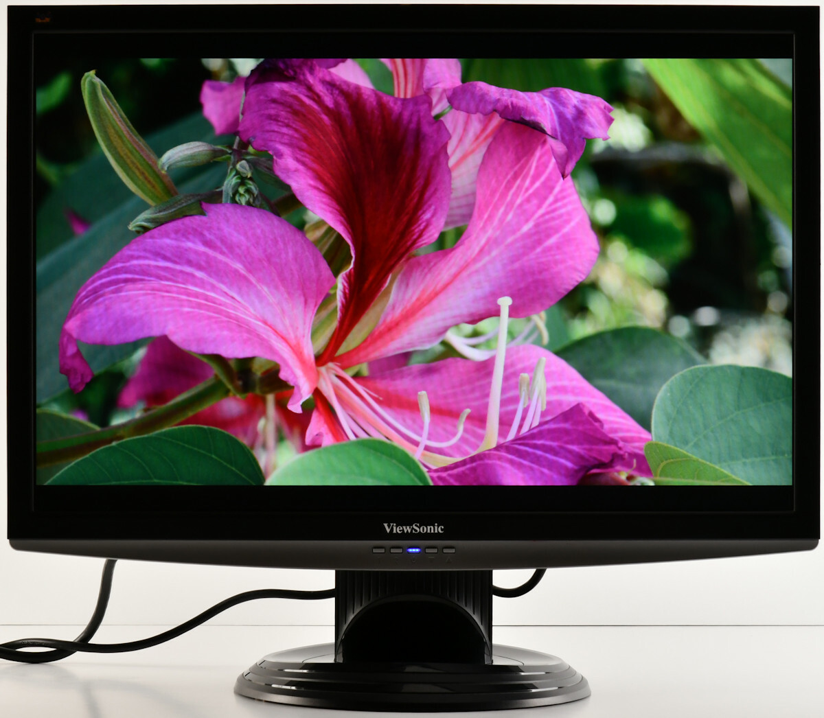 Viewsonic 27 xg2703-gs ips. Монитор viewsonic vg2439smh-2 23. Lcd монитор viewsonic. Монитор viewsonic vg2728wm. Lcd монитор viewsonic.