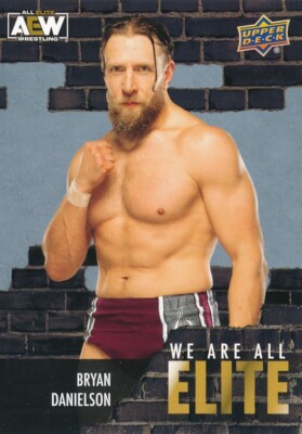 AE-26 BRYAN DANIELSON 2023 Upper Deck AEW SILVER WE ARE ALL ELITE BCC