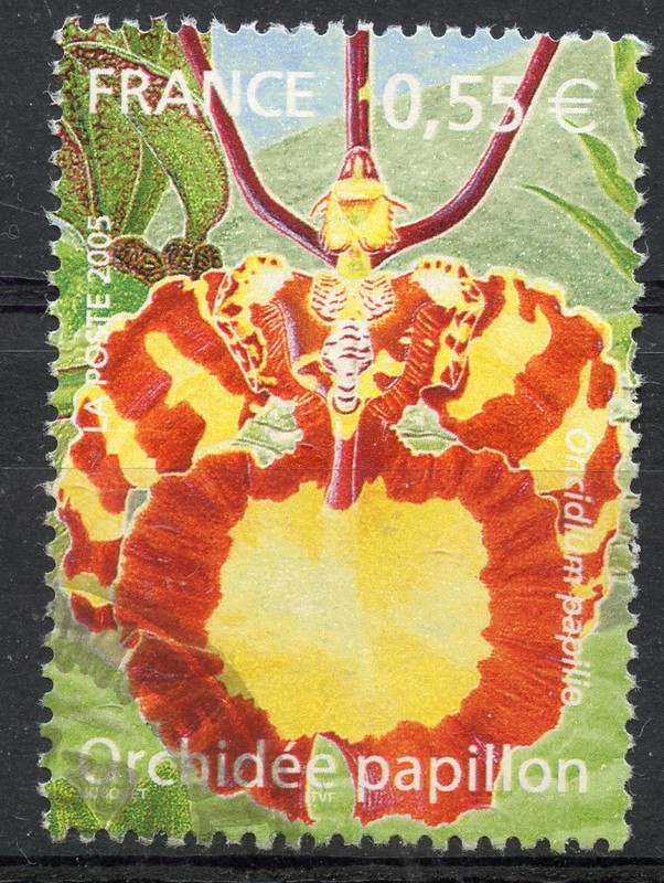 Stamp / Timbre France Oblitere NÂ° 3765 / Flore / Orchidee