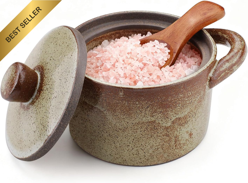 8.5 Oz Speckled Porcelain Salt Cellar with Lid & Wooden Spoon, Handcrafted Peppe