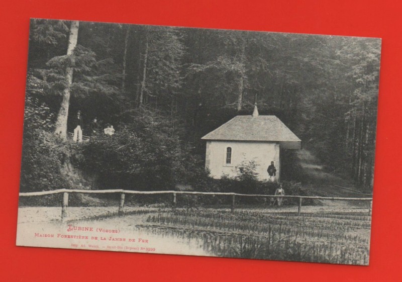 Lubine - Maison ForestiÃ¨Re De La Jambe De Fer   (K7091)