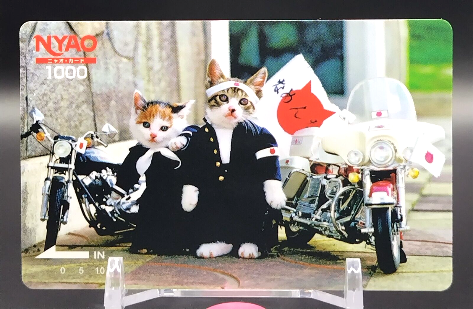 nyao様オーダーページ NYAO Card 1000 Namennayo Cat Nameneko Parody From in Japan