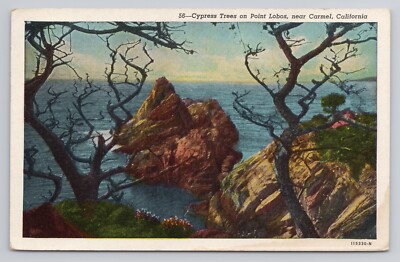 Cypress Trees on Point Lobos Carmel California Linen Postcard No 3092