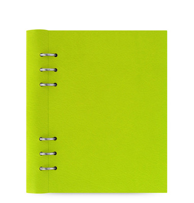 Filofax A5 Size Clipbook Leather-Look Refillable Notebook Diary Pear 023616Green