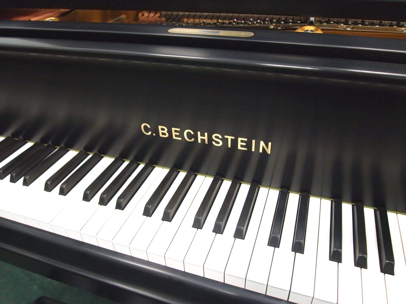 C. Bechstein 5'11