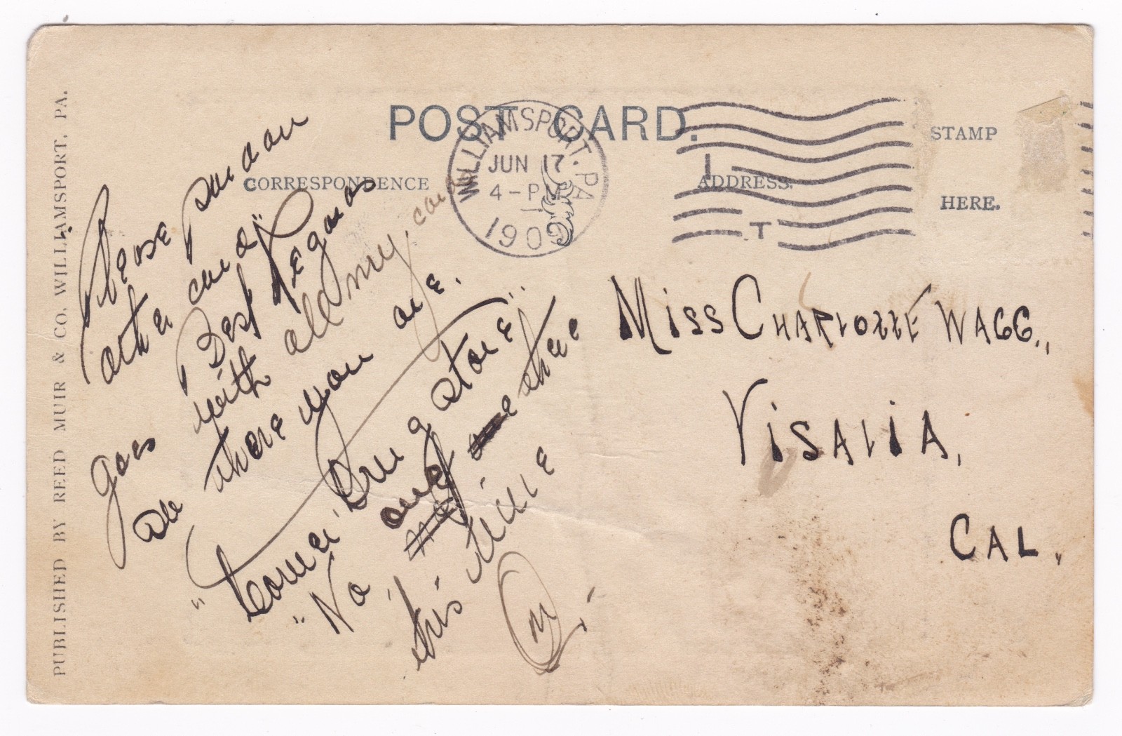 Postcard Real Photo RPPC Susquehanna Sylvan Dell Williamsport PA Circa 1905