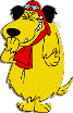 Avatar dell'utente