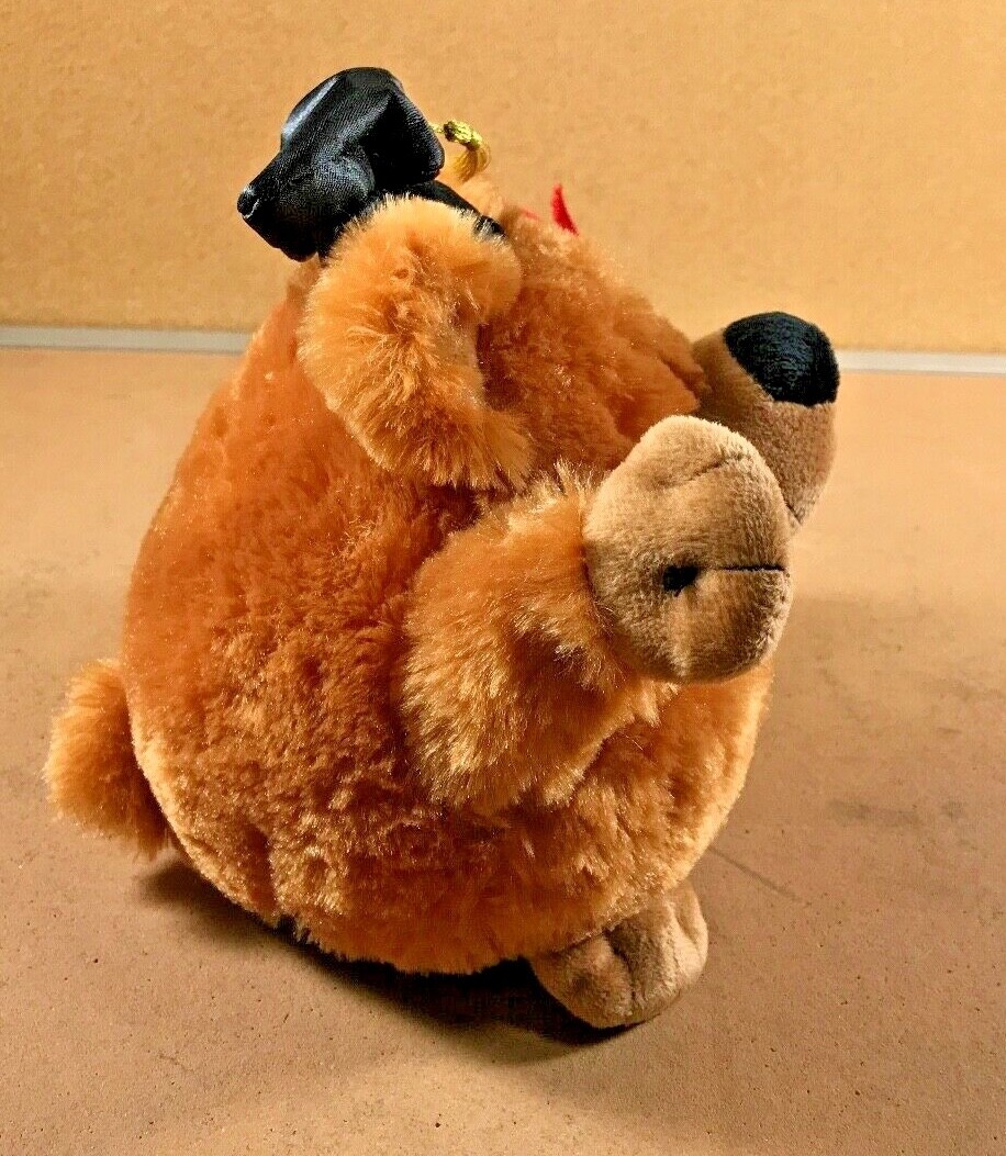 Kids of America Animated Spinning Bear Graduation Bear Sings Queen NWT