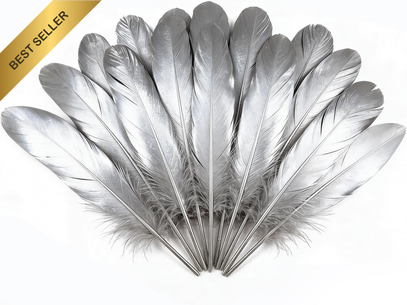 50Pcs Natural Goose Feathers Collection (Silver) | 15-20Cm Plumes for Wedding De