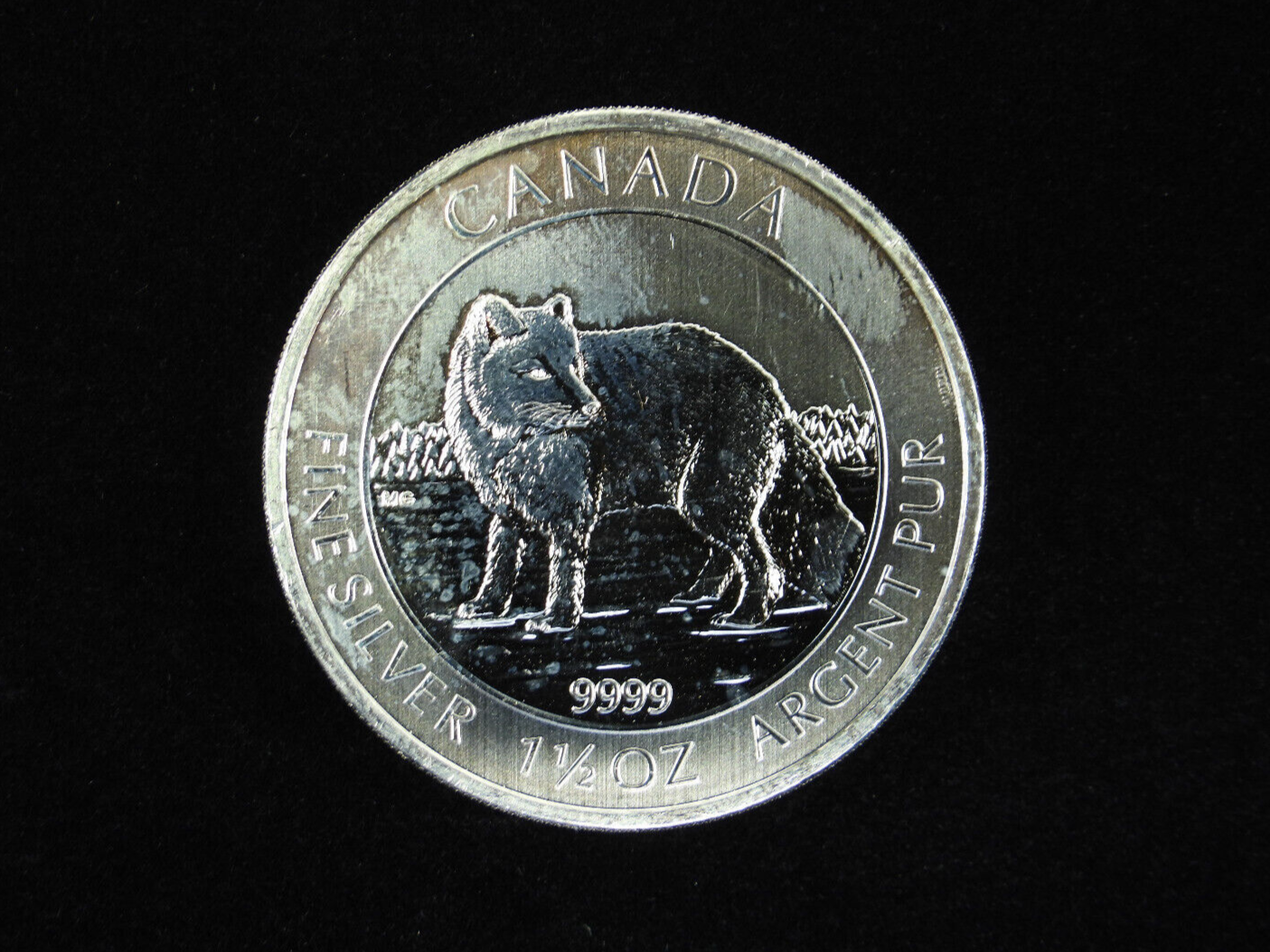 2740C カナダ 2013年 5ドル 銀貨 1オンス カナダ・エリザベス2世/5ドル銀貨 2013年銘 ロイヤルカナダ