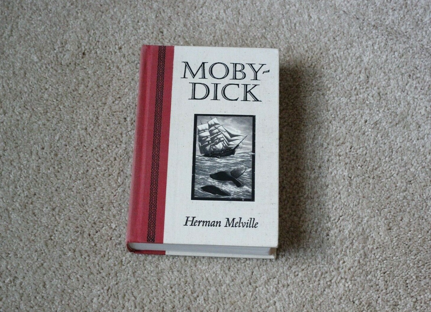 Moby dick vocabulary hair
