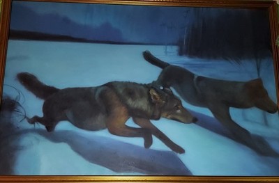 Objectfoto('s) van geverifieerde koper